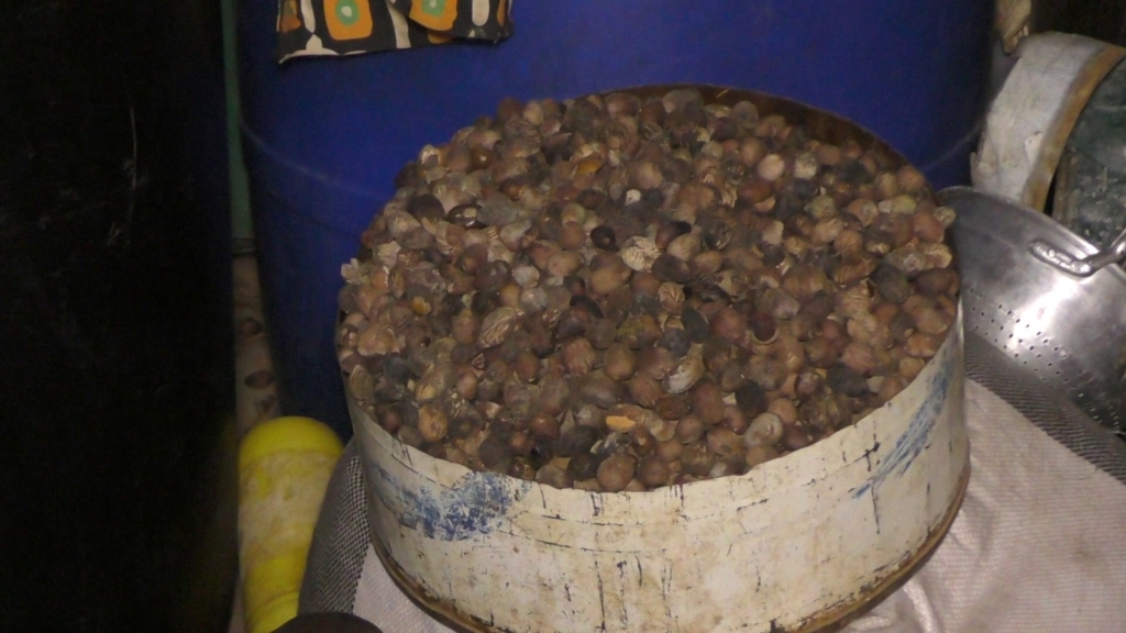 The dying shea trees: How changing weather is driving Northern Ghana’s women into urban struggle The dying shea trees: How changing weather is driving Northern Ghana’s women into urban struggle