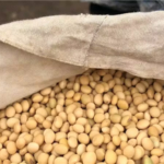 Soya farmers demand suspension of export ban, warn of looming economic collapse