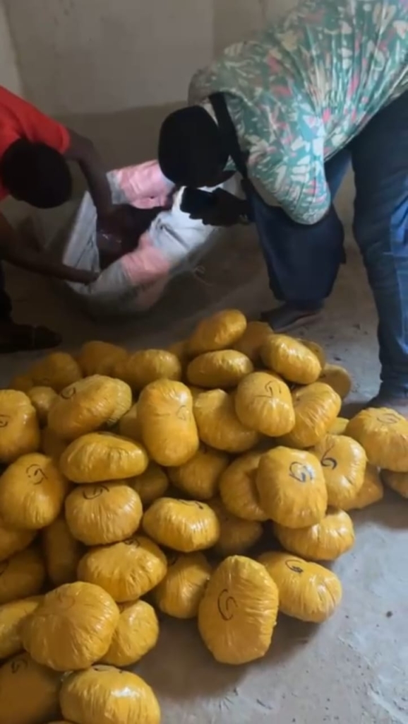 Police arrest 28-year-old with 98 parcels...