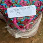 Nearly 4k shark fins seized at Kotoka Airport in major wildlife trafficking bust