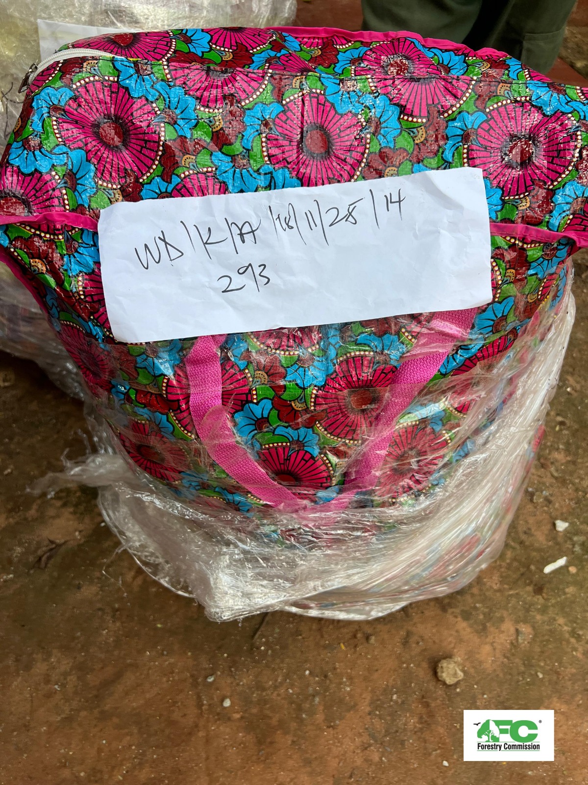 Nearly 4k shark fins seized at Kotoka Airport in major wildlife trafficking bust