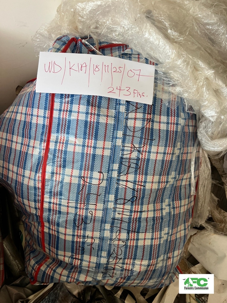 Nearly 4k shark fins seized at Kotoka Airport in major wildlife trafficking bust