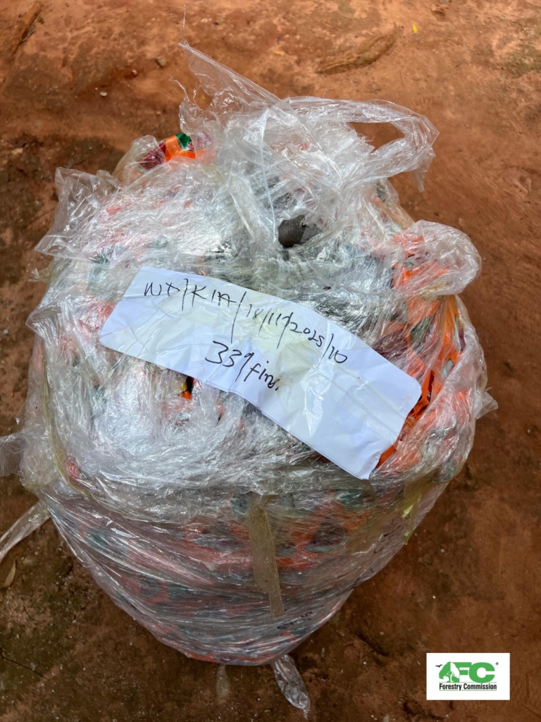 Nearly 4k shark fins seized at Kotoka Airport in major wildlife trafficking bust