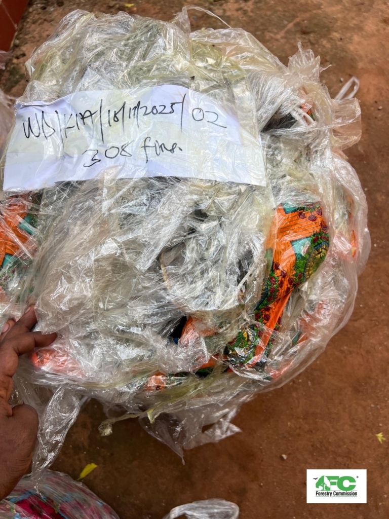 Nearly 4k shark fins seized at Kotoka Airport in major wildlife trafficking bust