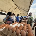 Eggs-travaganza: Multimedia Group’s Christmas Egg Market reaches grand finale today