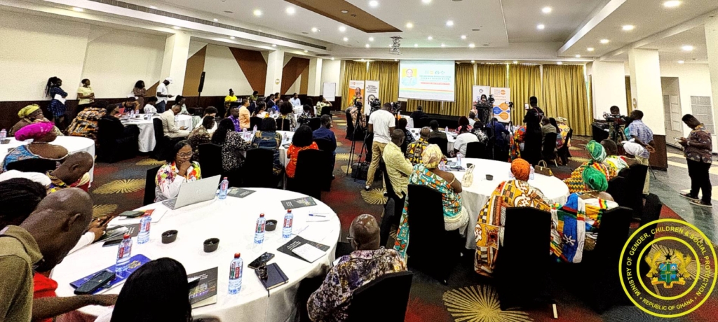 Gender Minister leads call for coordinated action to reduce maternal deaths