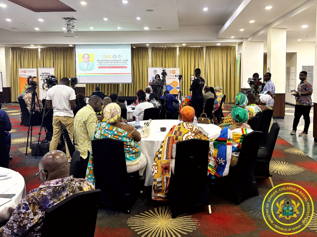 Gender Minister leads call for coordinated action to reduce maternal deaths