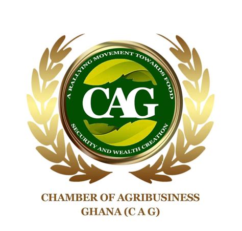 CAG warns 20% fruit juice tax could cost Ghana $1.7bn in exports and 120,000 jobs