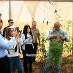 Desert bloom: Israeli organic farmers' innovation turn arid land into thriving oasis
