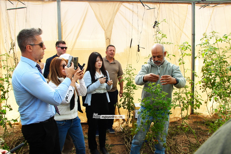 Desert bloom: Israeli organic farmers’ innovation turn arid land into thriving oasis – MyJoyOnline