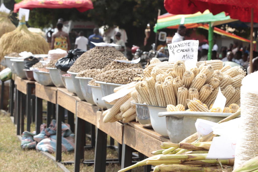 Photos:  Ghana celebrates 41st National...