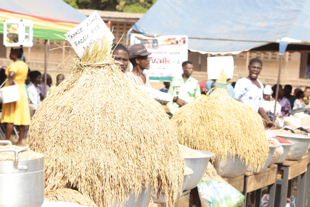 Photos: Ghana celebrates 41st National Farmers’ Day