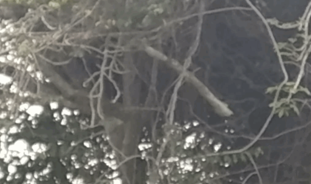 One dead, another in critical condition...