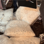 Eastern Regional FDA undertakes operation against unregistered baby diapers 