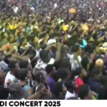 Made in Taadi concert rocks Takoradi with star-studded performances