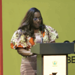 Nana Oye urges structured diaspora engagement as Ghana pushes 24-hour economy, export-led growth
