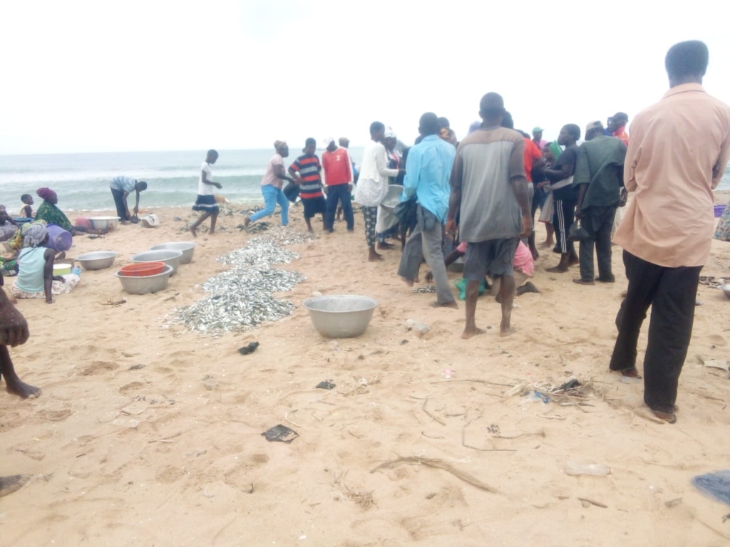 Fisherfolks in Keta calls for effective distribution of premix fuel ahead of Yuletide  – MyJoyOnline