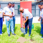 Driving sustainability: Zenith Bank joins BoG for Cedi@60 tree planting exercise