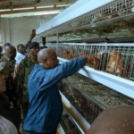 President Mahama’s agro-industrial revolution: turning Ghanaian farms into business powerhouses