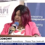 24-Hour Economy policy will outlive President Mahama – Nana Yaa Jantua