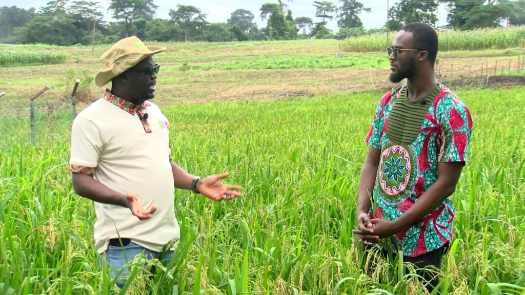 Illicit flows bleed Ghana dry: How billions lost are crippling science education and local research Illicit flows bleed Ghana dry: How billions lost are crippling science education and local research