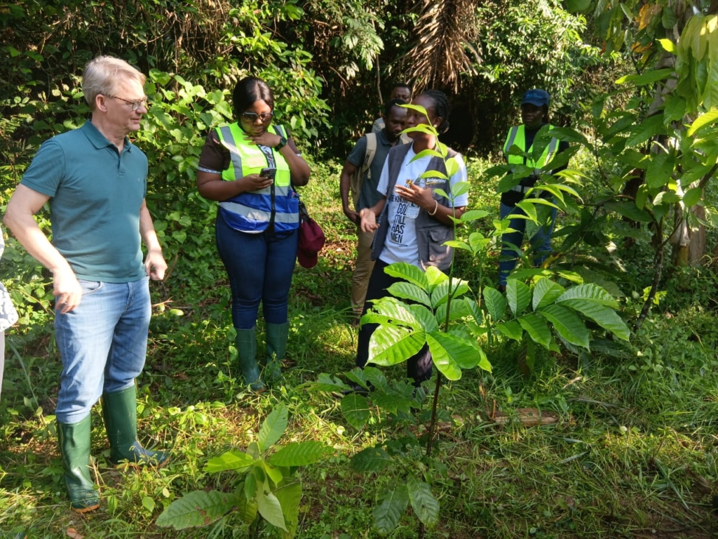Ghanaian cocoa communities mobilised against galamsey to protect livelihoods and environment