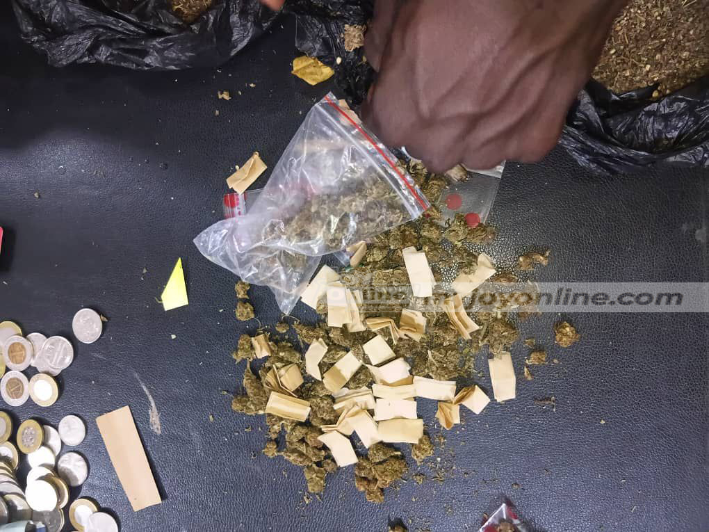 Police swoop in Kintampo nabs 13 in drug bust, seizes cannabis and tramadol