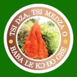 Tanyigbe Traditional Council reaffirms the authority of Togbega Kodi Adiko VI