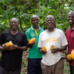 Gold Fields Ghana Foundation empowers communities through enterprise development