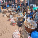 Source to survival: The unsung heroes fueling Ghana's food security Source to survival: The unsung heroes fueling Ghana's food security