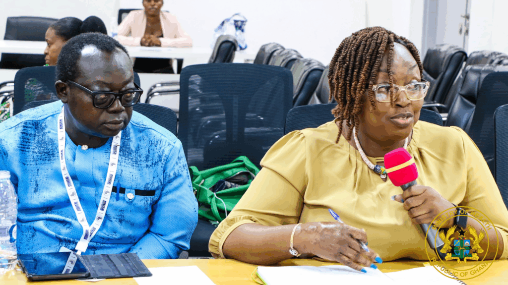 Health Minister receives report on Zipline drone delivery system Health Minister receives report on Zipline drone delivery system