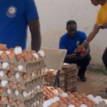 Egg-citing deals as Joy FM X'mas Egg Market sells out on Day 1, returns tomorrow