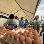Egg Glut Relief: Poultry farmers set up with lower prices at Joy FM X’mas Egg Market