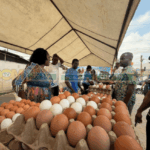 Eggs-travaganza: Multimedia Group’s Christmas Egg Market reaches grand finale today