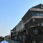 India express train kills seven elephants crossing tracks
