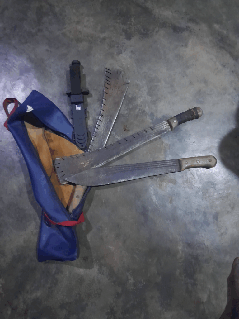 Christmas Special Operations: 56 suspected criminals arrested across Western North Region