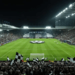 Newcastle stadium plans in limbo - Howe