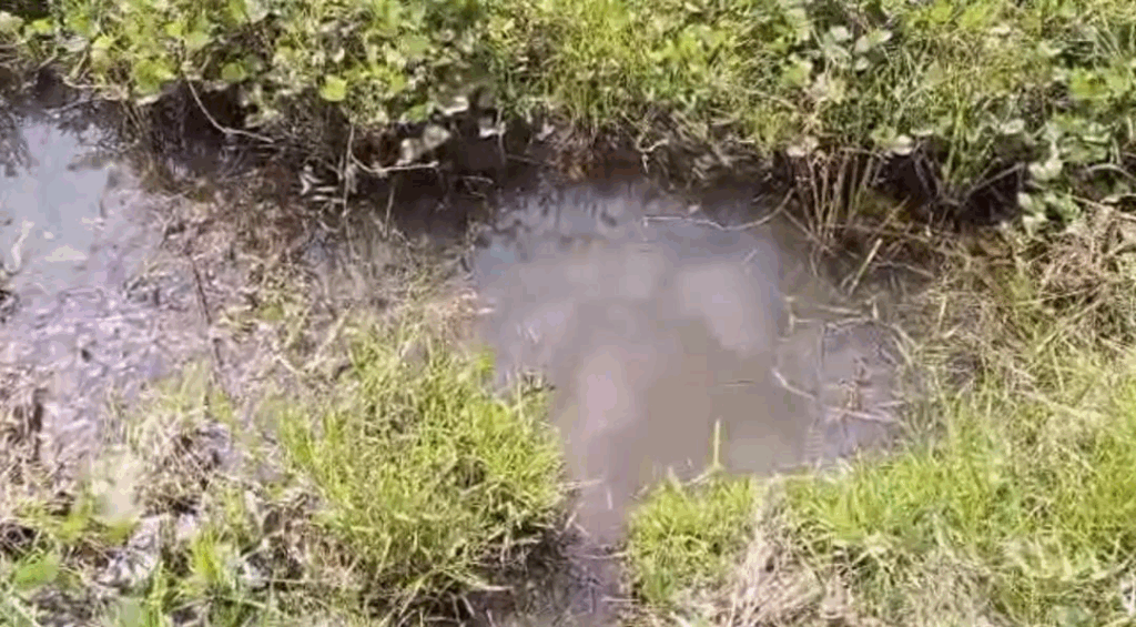 Before the Bell Rings, the Buckets Rise: How climate change is stealing childhood at Wassa Agave Before the Bell Rings, the Buckets Rise: How climate change is stealing childhood at Wassa Agave