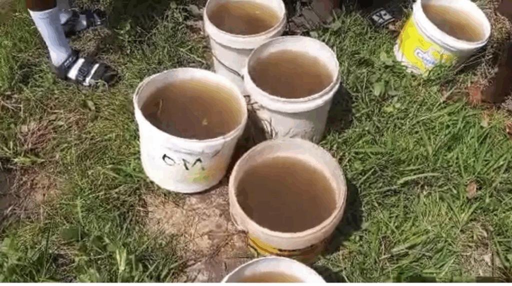 Before the Bell Rings, the Buckets Rise: How climate change is stealing childhood at Wassa Agave Before the Bell Rings, the Buckets Rise: How climate change is stealing childhood at Wassa Agave