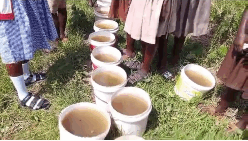 Before the Bell Rings, the Buckets Rise: How climate change is stealing childhood at Wassa Agave Before the Bell Rings, the Buckets Rise: How climate change is stealing childhood at Wassa Agave