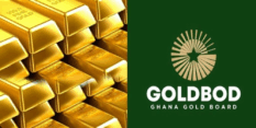 GoldBod losses too costly to sustain, govt plans major cut, says Bokpin