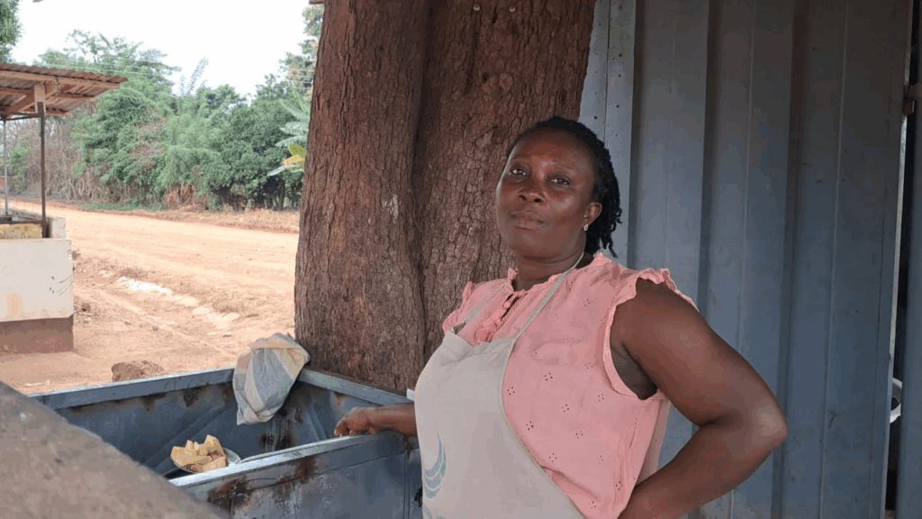 Why not clean energy: Cost or access?