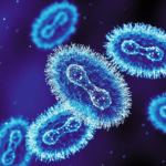 New mpox strain identified in England