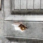 Volta REGSEC holds emergency meeting after Ho Central Mosque shooting