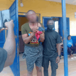 Driver rams into robbers, foils MoMo robbery at Darkuman