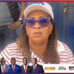They must be allowed to vote – Hawa Koomson on disenfranchised NPP delegates