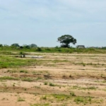 Here's why over 98% of lands in Ghana cannot be registered with a title - Appeal Court Justice