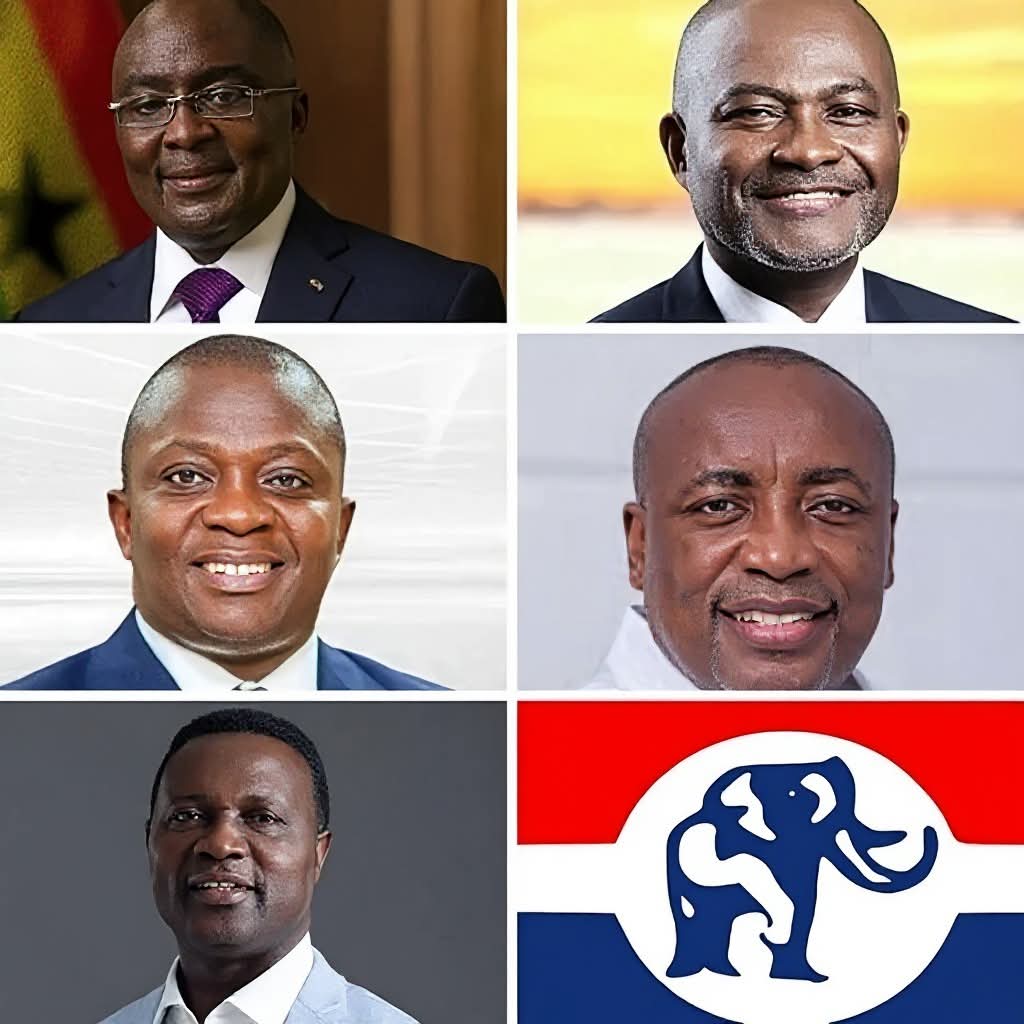 More than 8,500 delegates to vote in NPP presidential primaries in Upper East – MyJoyOnline