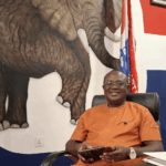 NPP primaries: 211,849 delegates to vote in 333 centres