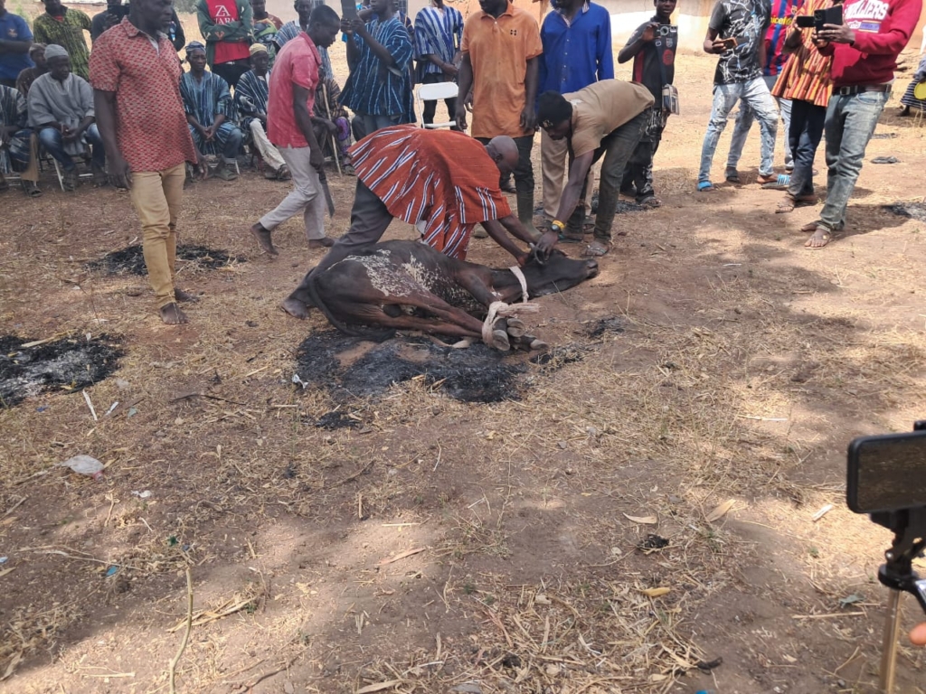 Gbeniyiri performs purification rites,...